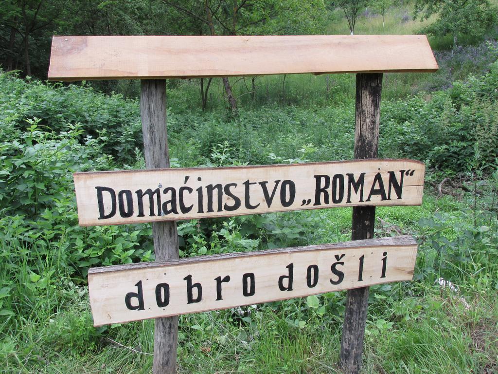 Country House Roman Country house *