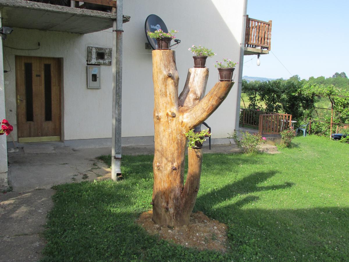 Country House Roman * Doboj